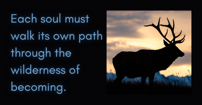 Silhouette of a lone elk standing in tall grass at sunrise, mountains and soft clouds glowing behind it — a visual reflection of the soul’s solitary journey toward awakening and renewal.