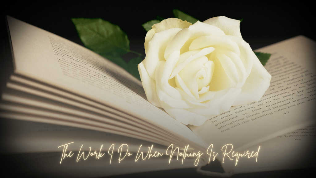 An open book resting in soft light with a white rose placed across its pages, symbolizing quiet reflection and writing as a form of rest.