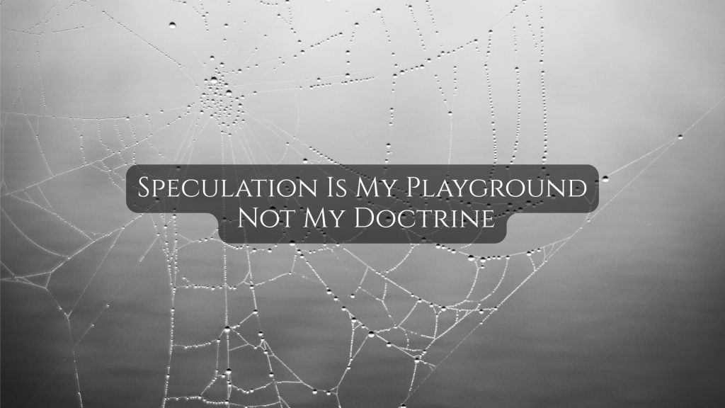 Black and white photograph of a dew-covered spiderweb with the overlay text “Speculation Is My Playground Not My Doctrine.”