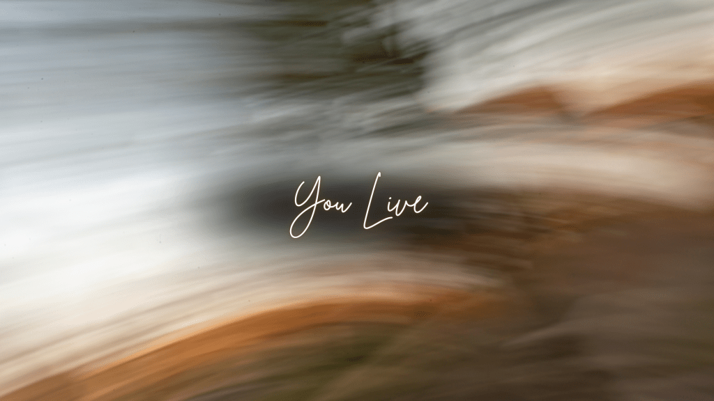 Abstract motion-blur image in soft earth tones with the words 'You Live' centered in delicate script, suggesting the passage of time and the certainty of survival amid life's motion.