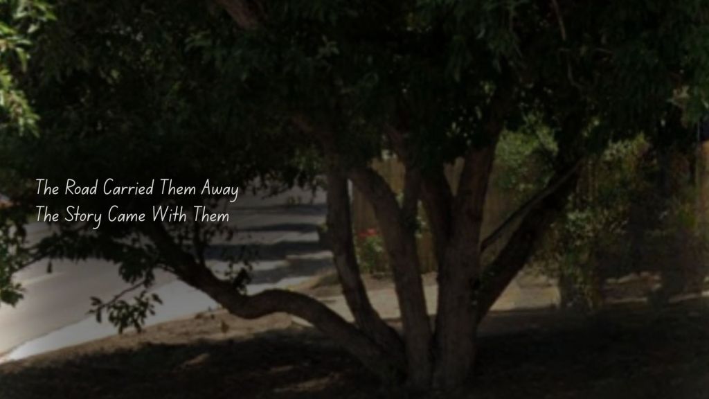 A mature tree with broad, low branches beside a residential street, photographed from Google Earth and darkened with the overlay text, "The Road Carried Them Away / The Story Came With Them."