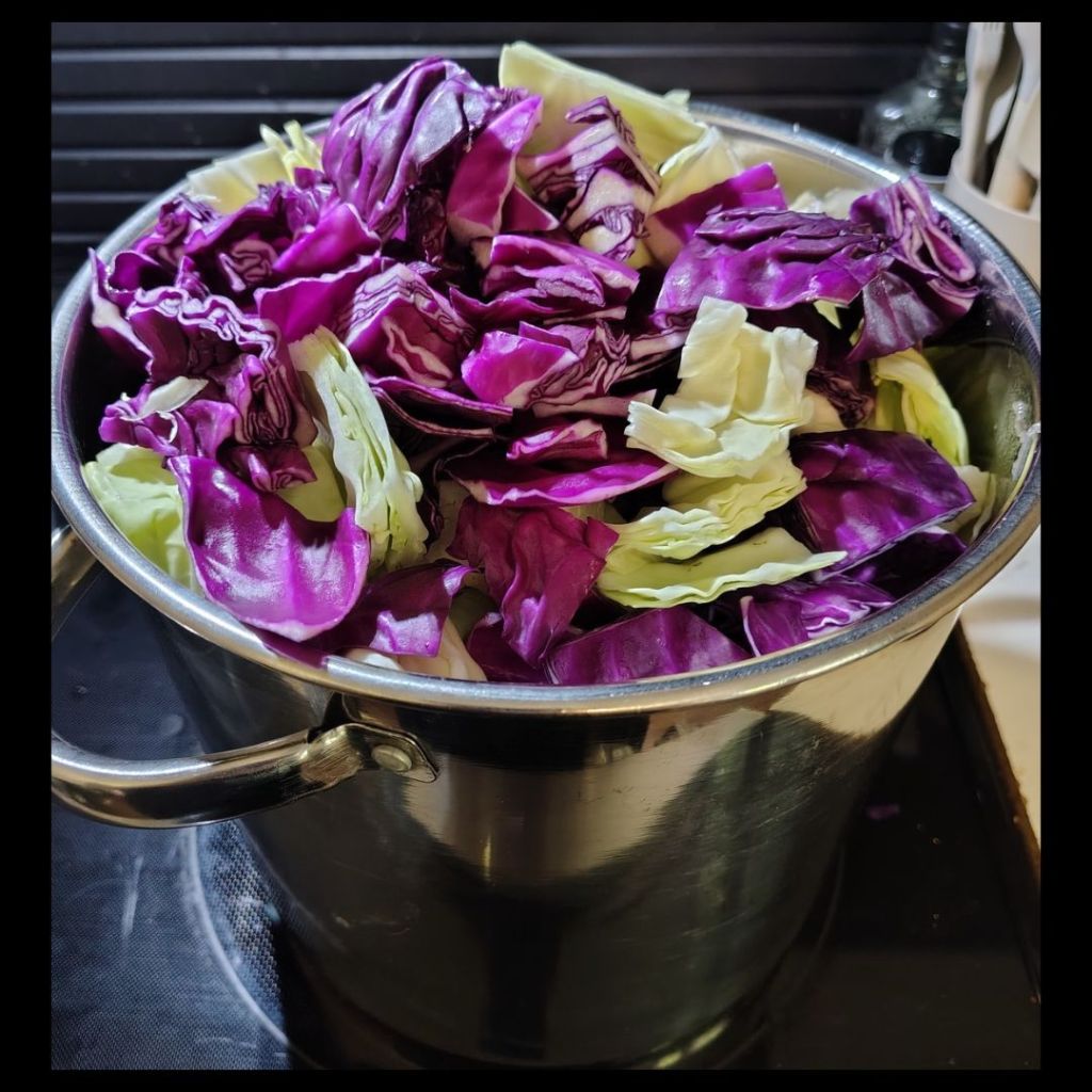 A large stockpot overflowing with freshly chopped green and purple cabbage before the vegetables cooked down into Cherry Soup: Late Summer Harvest.