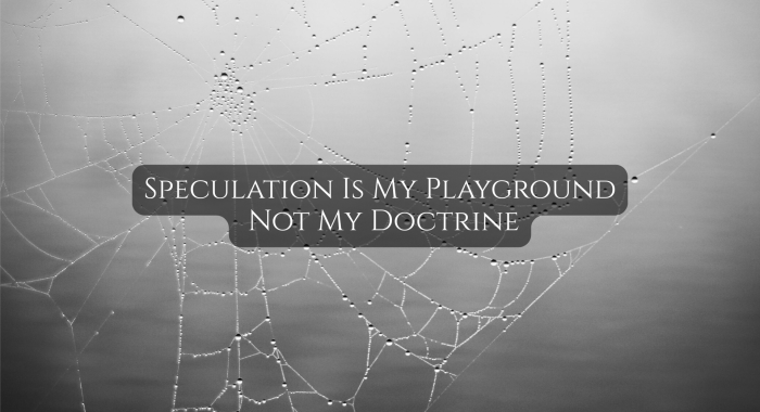 Black and white photograph of a dew-covered spiderweb with the overlay text “Speculation Is My Playground Not My Doctrine.”