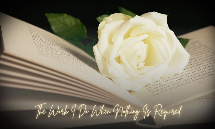 An open book resting in soft light with a white rose placed across its pages, symbolizing quiet reflection and writing as a form of rest.