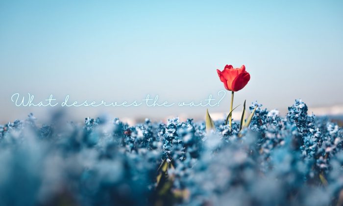 What deserves the wait