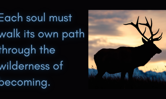 Silhouette of a lone elk standing in tall grass at sunrise, mountains and soft clouds glowing behind it — a visual reflection of the soul’s solitary journey toward awakening and renewal.