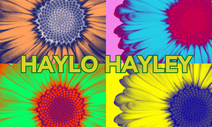 Haylo Hayley Your Sassy Guide to Pop Culture (and Overconsumption!)