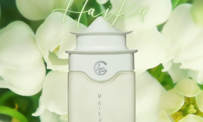 I hope this post finds you