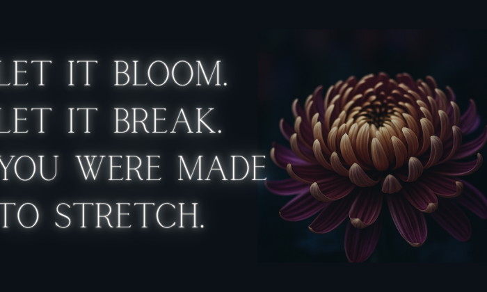 A digital image featuring a richly colored magnum mum in full bloom, with deep violet and gold petals unfolding in layered symmetry against a dark background. To the left of the flower, glowing white text reads: “Let it bloom. Let it break. You were made to stretch.” The overall tone is reflective and empowering, symbolizing growth, transformation, and the courage to evolve beyond inherited beliefs.