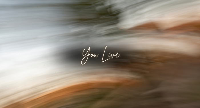 Abstract motion-blur image in soft earth tones with the words 'You Live' centered in delicate script, suggesting the passage of time and the certainty of survival amid life's motion.
