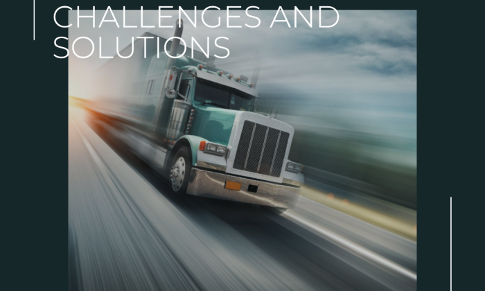 Navigating Truck Parking Challenges and Solutions