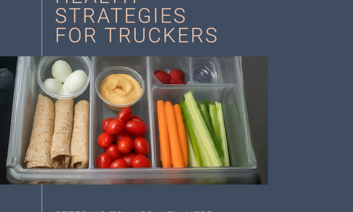 Sustainable Health Strategies for Truckers 1